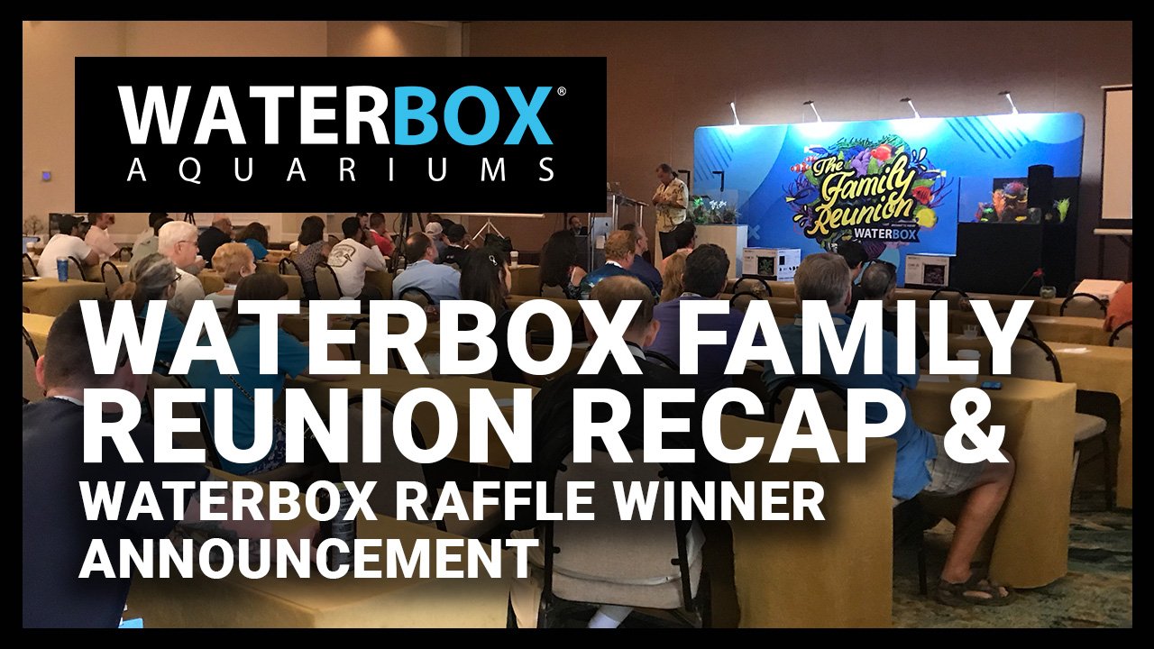 The Family Reunion Raffle Recap and Coral Restoration Foundation Raffle Winner