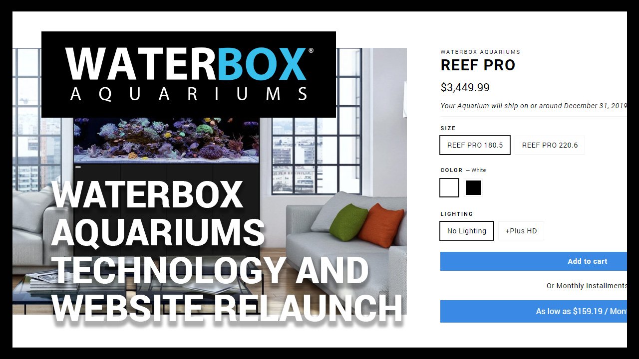 Waterbox Aquariums Technology and Website Relaunch